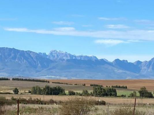 Doran Vineyards Country Estate - Mountain view