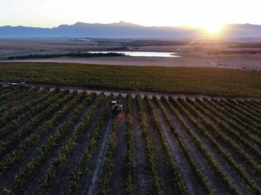 Doran Vineyards Country Estate - Natural landscape