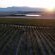 Doran Vineyards Country Estate - Natural landscape