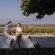 Doran Vineyards Country Estate - Natural landscape