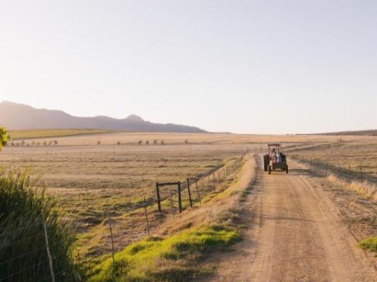 Doran Vineyards Country Estate - Natural landscape