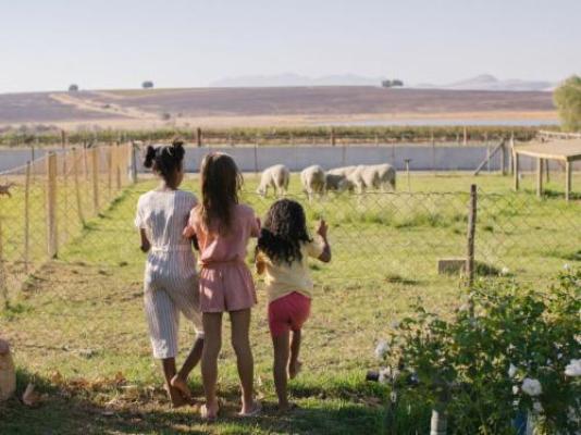 Doran Vineyards Country Estate - Natural landscape