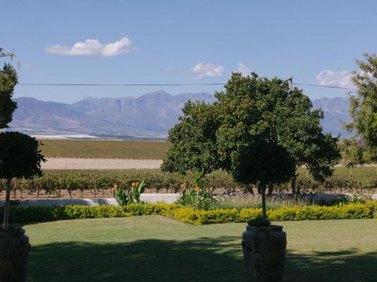 Doran Vineyards Country Estate - 280121