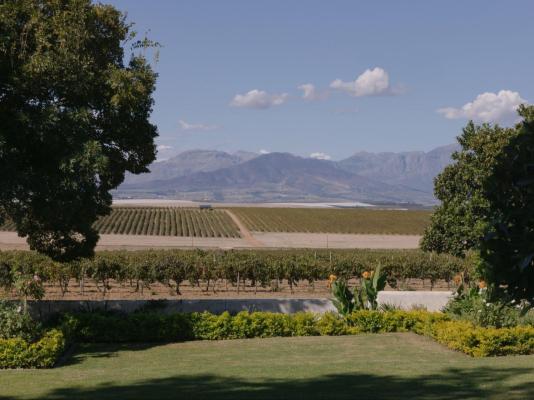 Doran Vineyards Country Estate - 280126