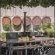 Doran Vineyards Country Estate - 280153
