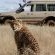 Kishindo Conservation Reserve - Natural landscape
