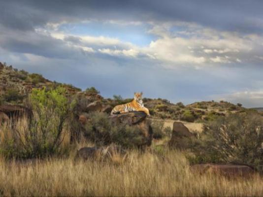 Kishindo Conservation Reserve - Natural landscape