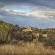 Kishindo Conservation Reserve - Natural landscape