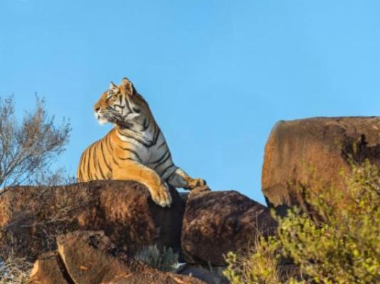 Kishindo Conservation Reserve - Natural landscape