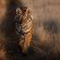 Kishindo Conservation Reserve - Natural landscape