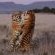 Kishindo Conservation Reserve - Natural landscape