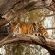 Kishindo Conservation Reserve - Natural landscape
