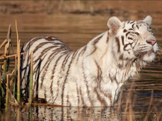 Kishindo Conservation Reserve - Natural landscape