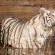 Kishindo Conservation Reserve - Natural landscape