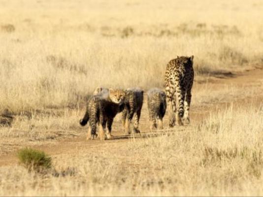 Kishindo Conservation Reserve - Natural landscape