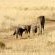 Kishindo Conservation Reserve - Natural landscape