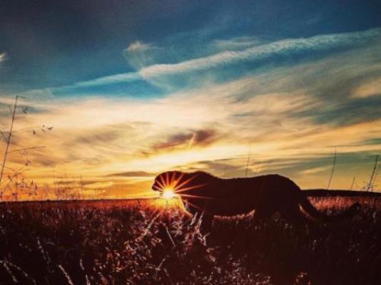 Kishindo Conservation Reserve - Natural landscape