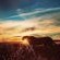 Kishindo Conservation Reserve - Natural landscape