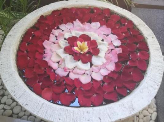 Lillies Guest House - Garden