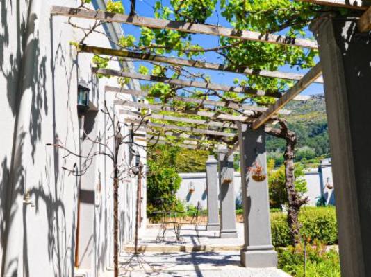 Olive Tree Boutique Hotel - Garden