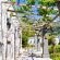 Olive Tree Boutique Hotel - Garden