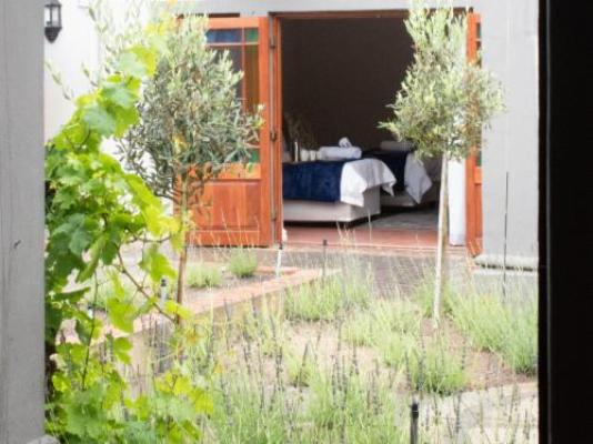 Olive Tree Boutique Hotel - Garden