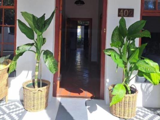 Olive Tree Boutique Hotel - Facade or entrance
