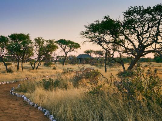 Otjimbondona Kalahari - 280387