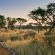 Otjimbondona Kalahari - 280387