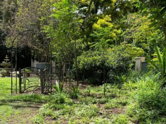 White House Lodge Vryheid - Garden