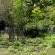 White House Lodge Vryheid - Garden