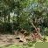 White House Lodge Vryheid - Garden