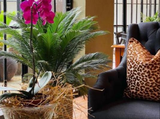 The Hanover Luxury Hotel - Decorative detail