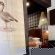 The Hanover Luxury Hotel - 280619