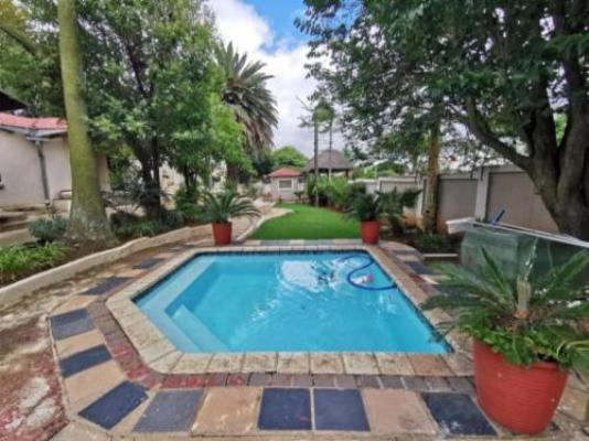 The Catwalk Lodge - Swimming pool
