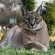 Sundowners Game Lodge - Natural landscape