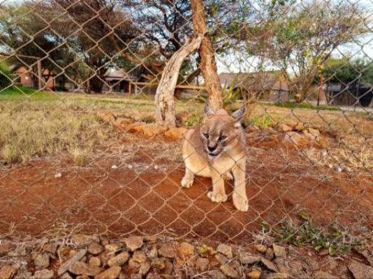 Sundowners Game Lodge - Natural landscape