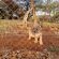 Sundowners Game Lodge - Natural landscape