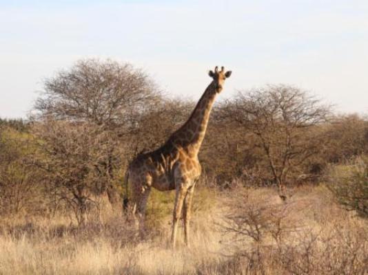 Sundowners Game Lodge - Natural landscape