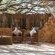 Kwalata Game Lodge - 281408