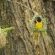 Kwalata Game Lodge - 281594