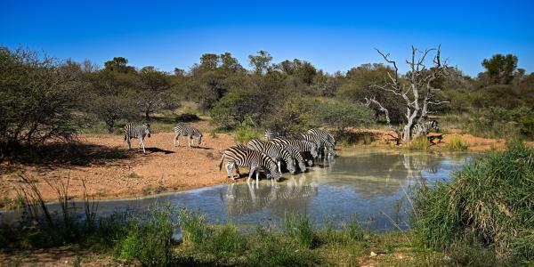 Kwalata Game Lodge - 281596