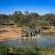 Kwalata Game Lodge - 281596