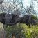 Kwalata Game Lodge - 281598