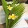 African Peninsula Guest House & Restaurant - 281614