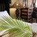 African Peninsula Guest House & Restaurant - 281625