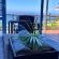 African Peninsula Guest House & Restaurant - 281643