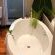 African Peninsula Guest House & Restaurant - 281645
