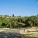 Natures Haven Lodge - Bluff Eco Park - Garden view