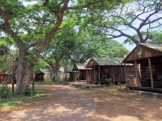 Natures Haven Lodge - Bluff Eco Park - Garden